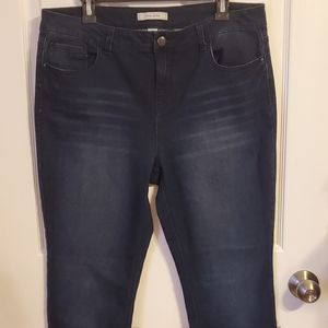 Adam Levine Women's Denim Skinny Jeans Sz 17